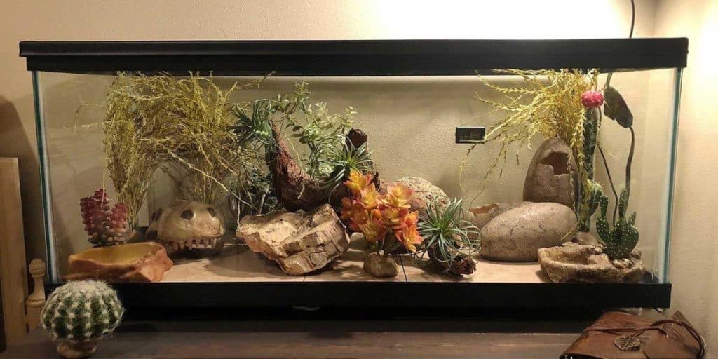 An image of a bearded dragon enclosure with a diverse range of hiding spaces, including rocks and logs, accompanied by ample basking spots. The bearded dragon is not visible in the picture, but the layout of the enclosure provides a glimpse of the excellent care it receives. The numerous hiding spaces and basking spots are indicative of a healthy and content bearded dragon that is well-cared for.