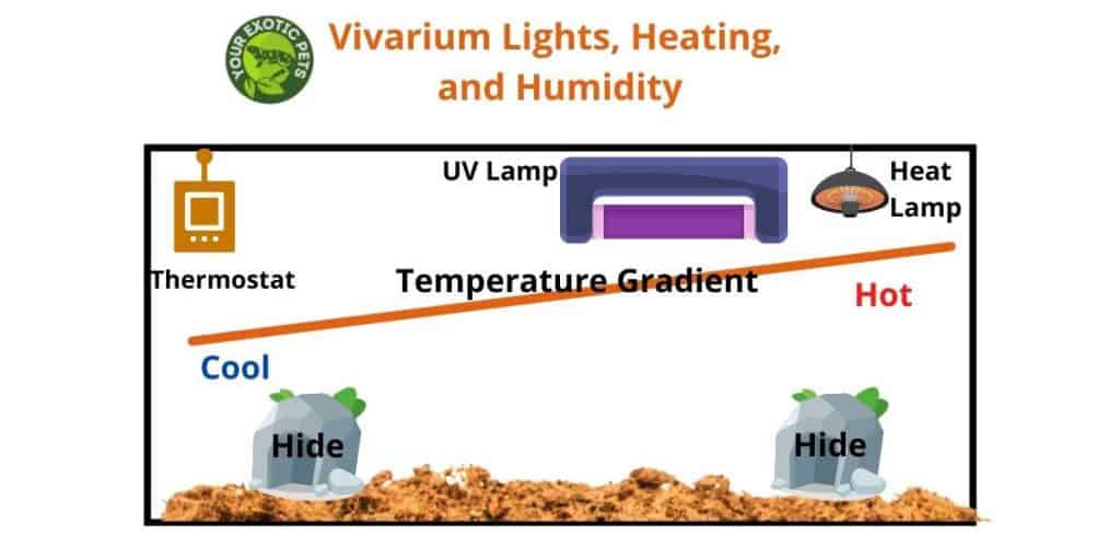 infographic showing how to create a heat gradient in a beaded dragon enclosure