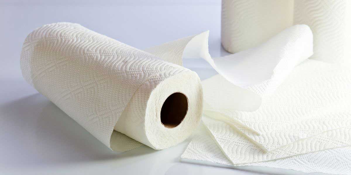 What Is the Best Substrate to Use for Leopard Geckos? Your Exotic Pets