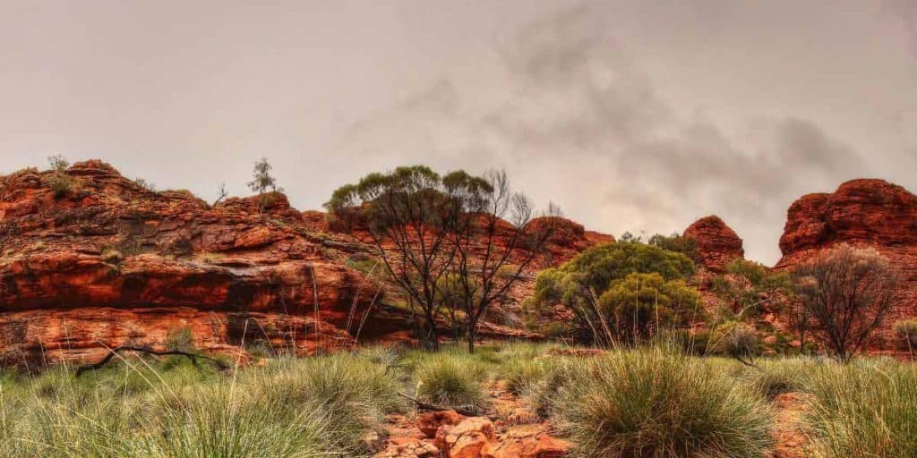 An image depicting the natural environment of bearded dragons in the Australian outback. The picture features a vast expanse of arid desert terrain with low-lying vegetation and rocky outcroppings. The sunlight is intense, casting a warm glow on the rugged landscape. The bearded dragon's natural habitat is perfectly adapted to the harsh and unforgiving conditions of the Australian outback, with ample hiding spots and basking areas. This image provides an excellent example of the natural habitat of a bearded dragon and highlights the importance of creating a similar environment in captivity for their physical and mental well-being.